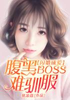 闪婚成爱：腹黑boss难驯服